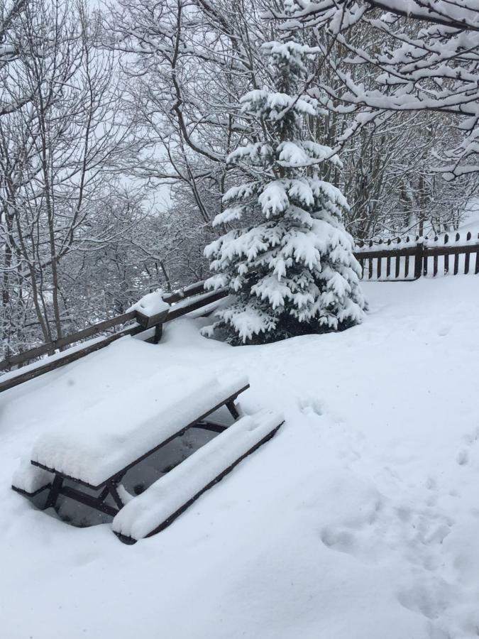 En Pleine Nature Avec Jardin Apartman Les Blaues Kültér fotó